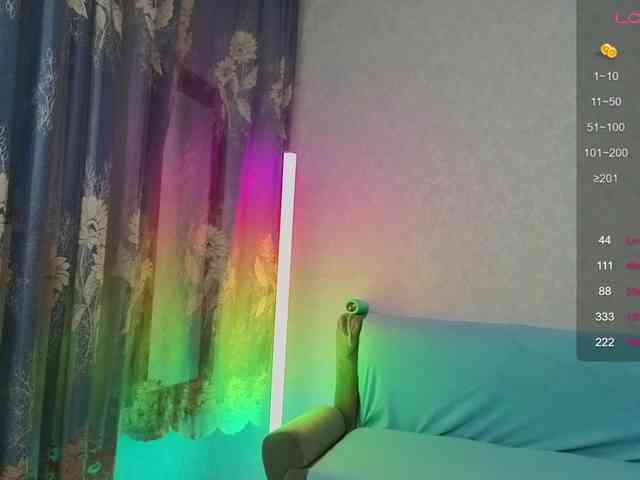 evallusion webcam