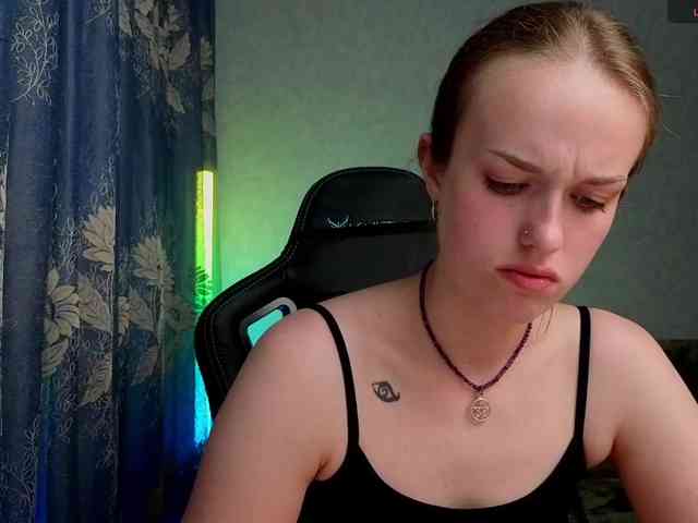 evallusion webcam