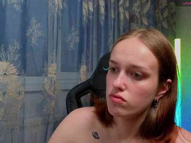 evallusion webcam
