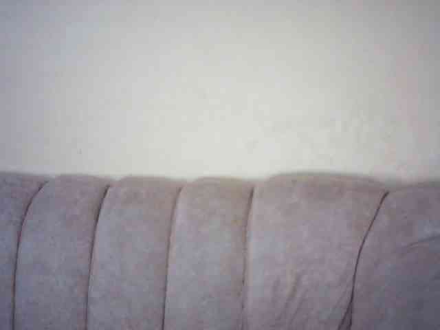 sexxylady webcam