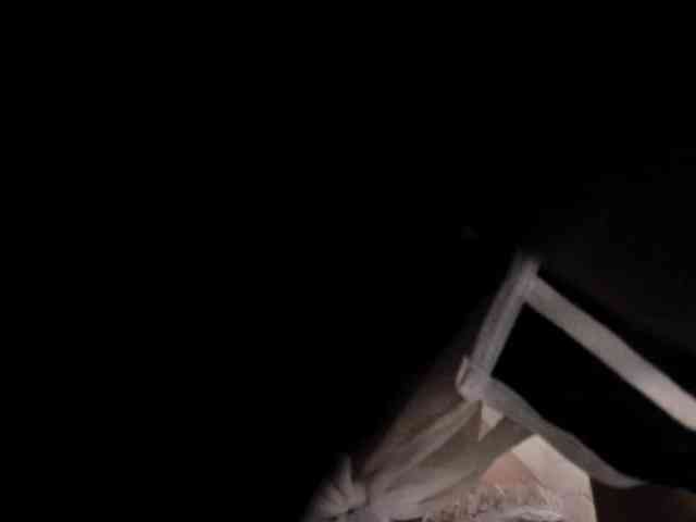 Sylviie webcam