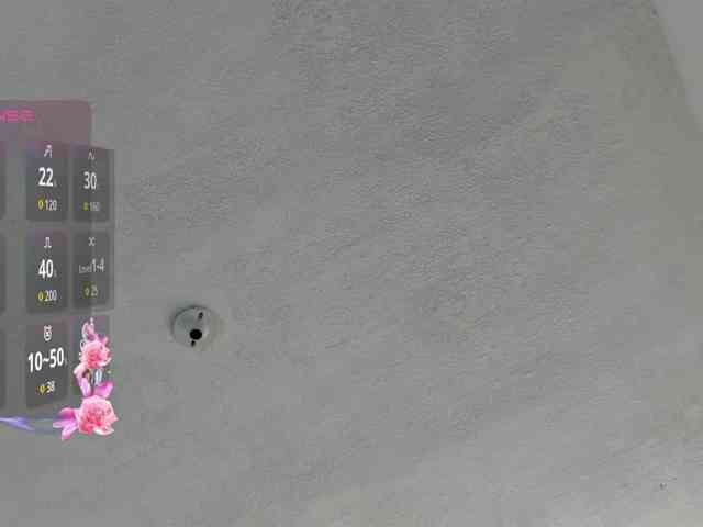 Ririblonde webcam