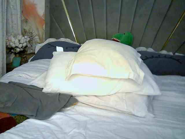 Leilasandy webcam