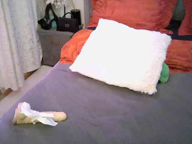 Leilasandy webcam