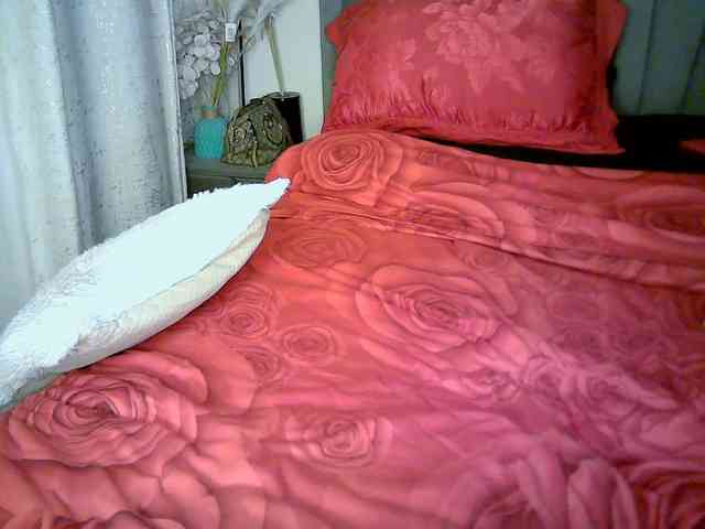 Leilasandy webcam