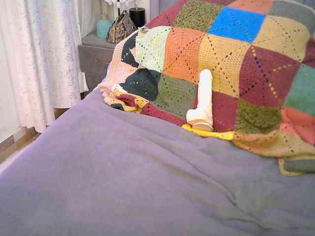 Leilasandy webcam