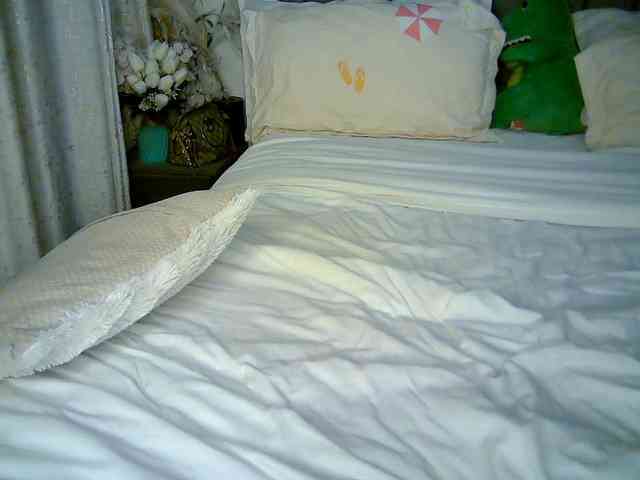 Leilasandy webcam
