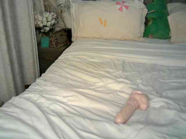 Leilasandy webcam