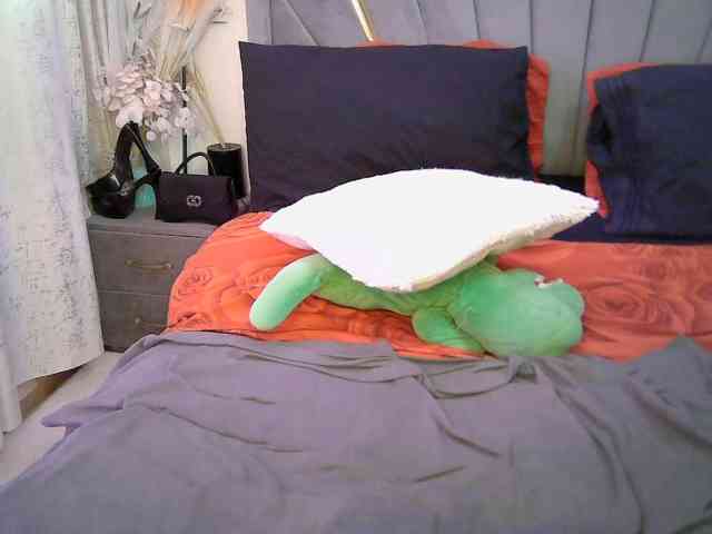 Leilasandy webcam