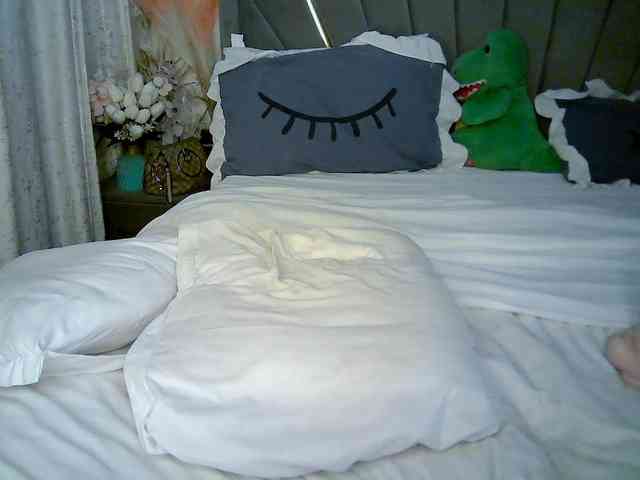 Leilasandy webcam