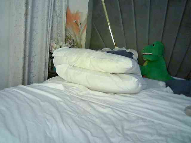 Leilasandy webcam