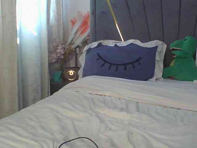 Leilasandy webcam