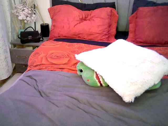 Leilasandy webcam