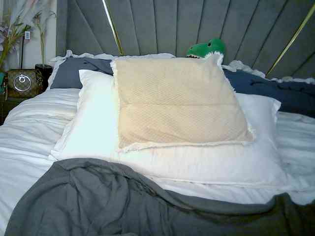 Leilasandy webcam