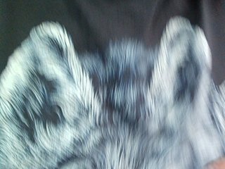 Babyandkot