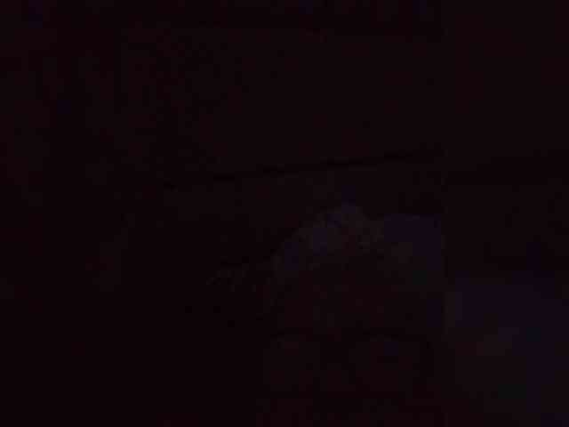 Gelja73 webcam