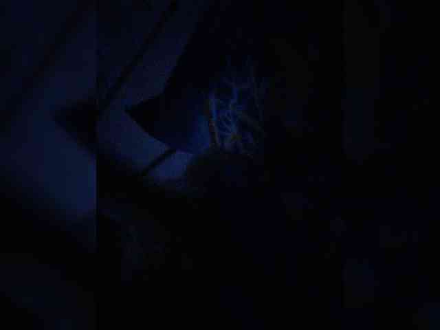 Gelja73 webcam
