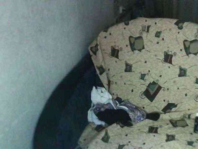 Gelja73 webcam