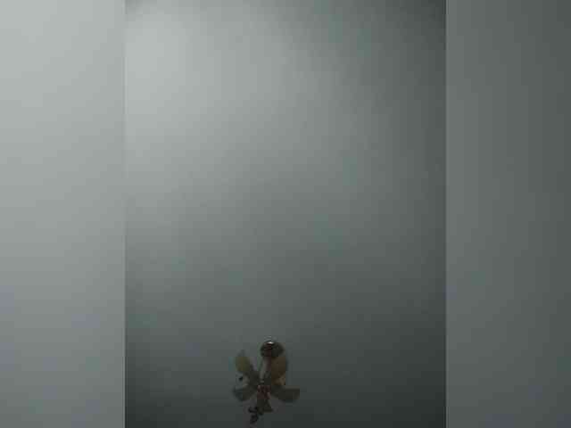 Gelja73 webcam