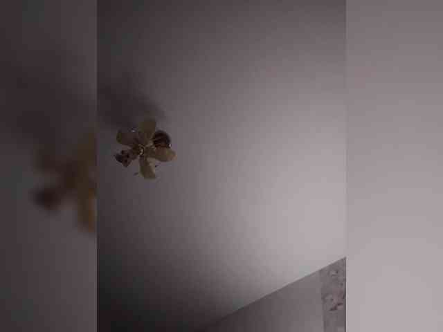 Gelja73 webcam