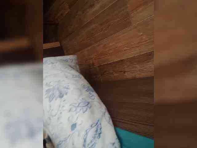 Galina73 live female cam on bongacams