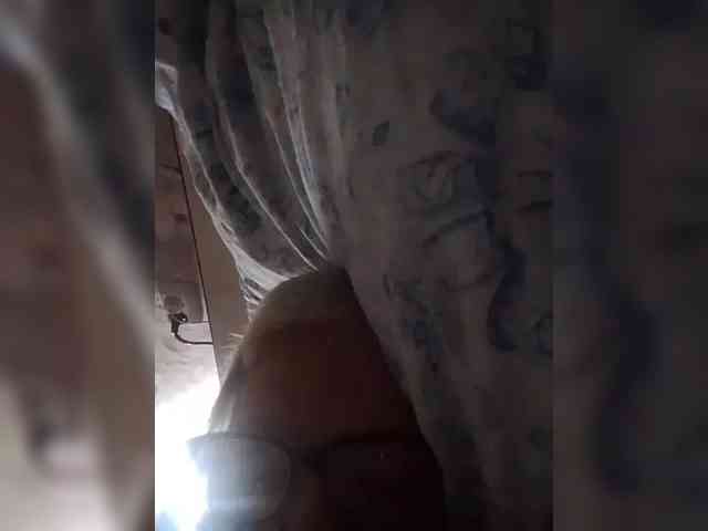 Gelja73 webcam