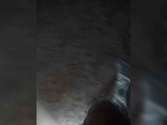 Gelja73 webcam