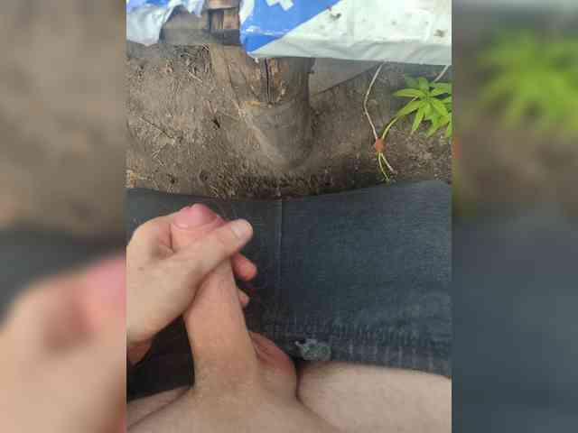 AnalBoyZ