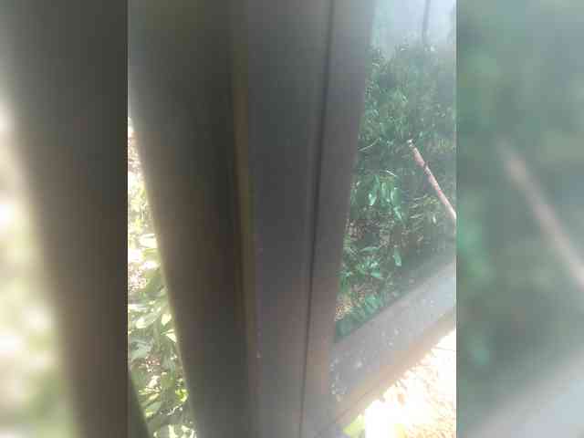 Donna-AK webcam