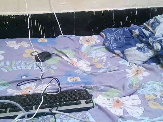 Pretty-221 webcam