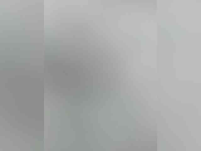 Fiona-2k webcam
