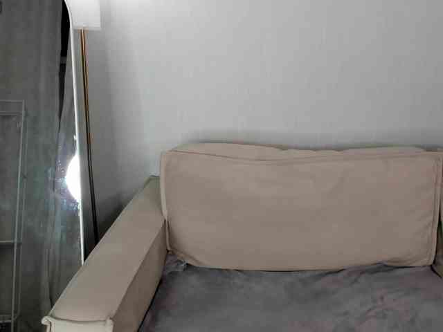 Stellla-Morgans webcam