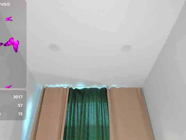 Stellla-Morgans webcam