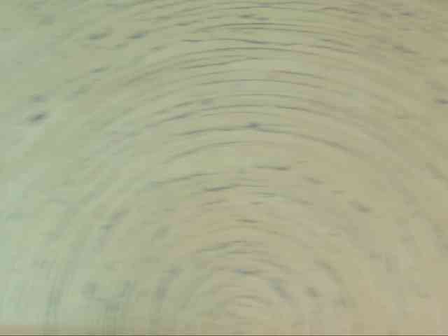 Danielacrudu webcam