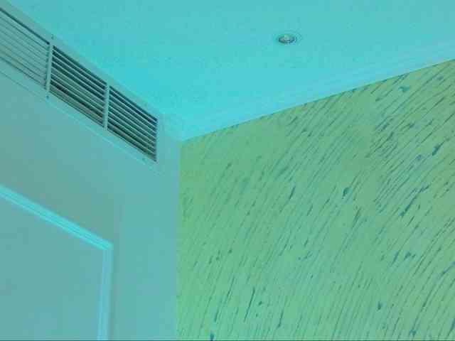 Danielacrudu webcam