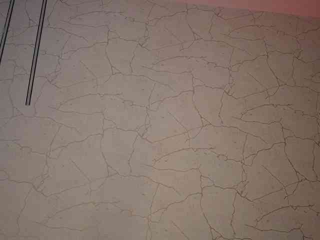 gloriaa-shine webcam