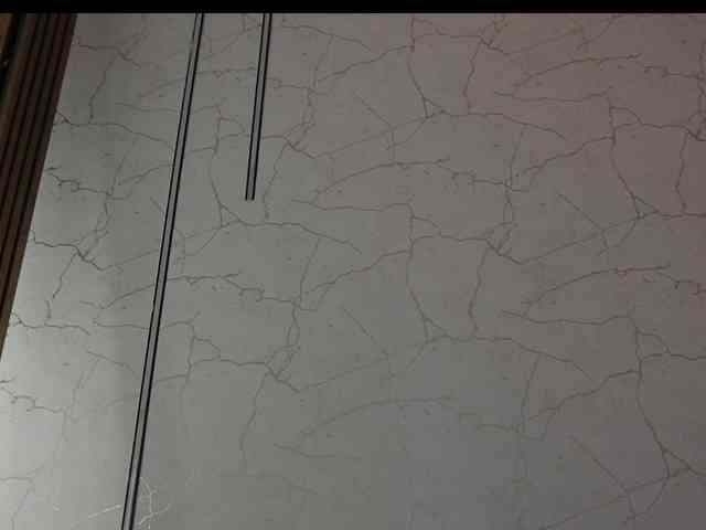 gloriaa-shine webcam