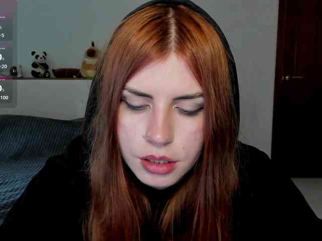 AmiGray webcam