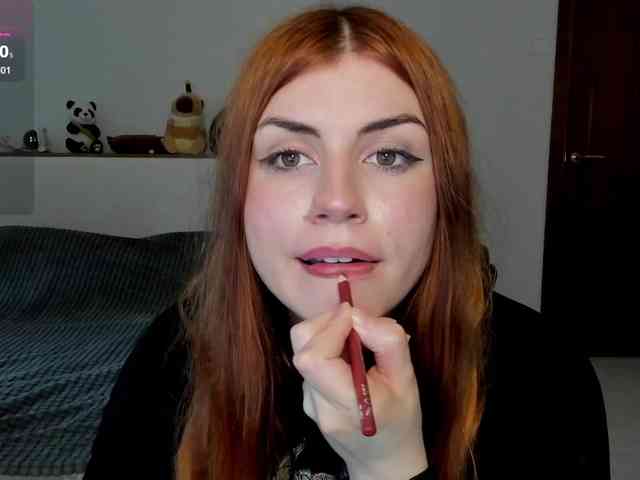 AmiGray webcam
