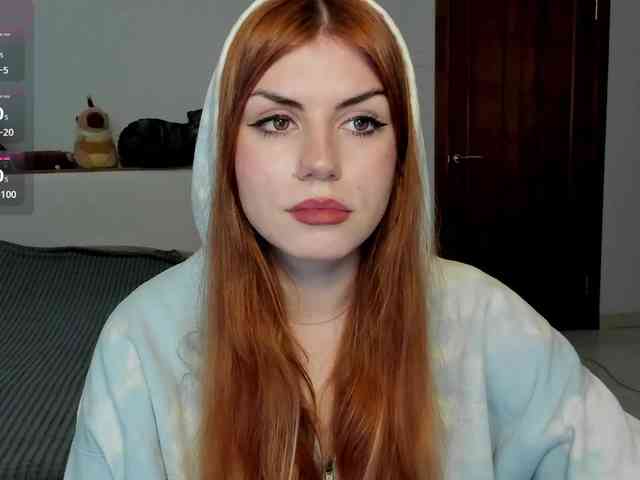 AmiGray webcam