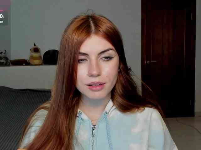 AmiGray webcam