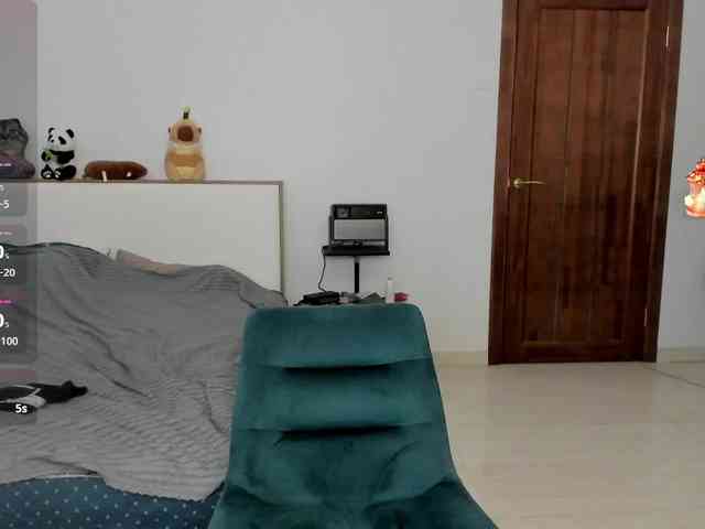 AmiGray webcam