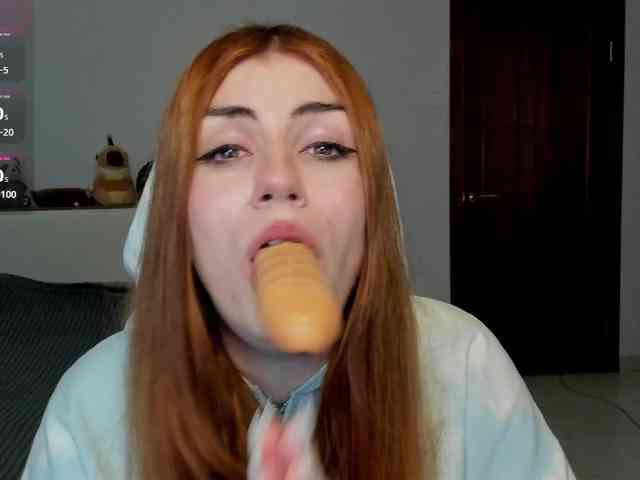 AmiGray webcam
