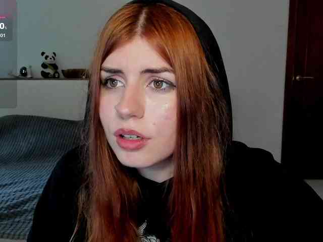 AmiGray webcam