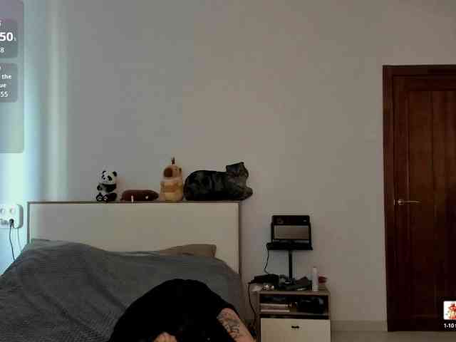 AmiGray webcam