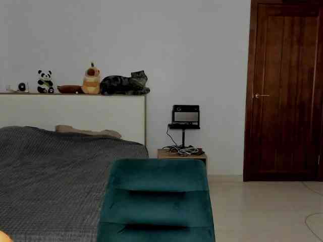 AmiGray webcam