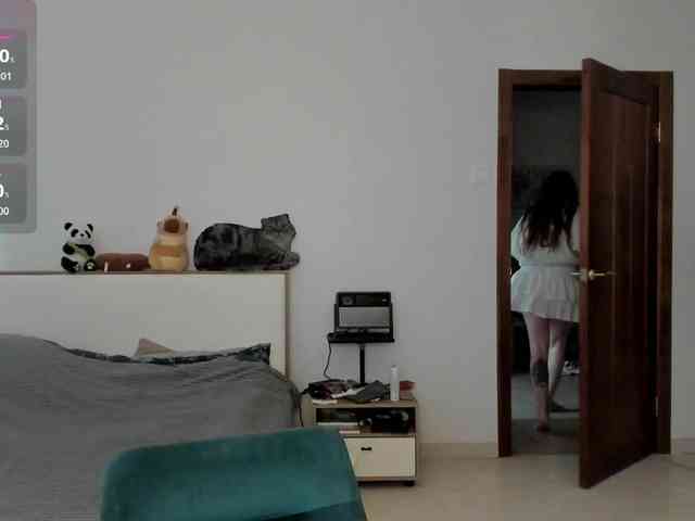 AmiGray webcam