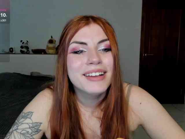 AmiGray webcam