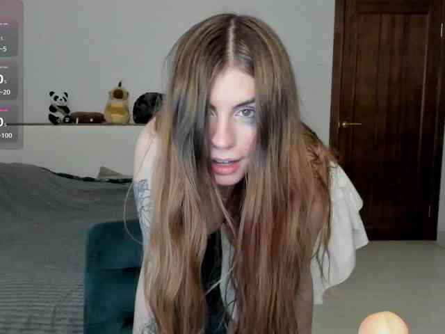 AmiGray webcam