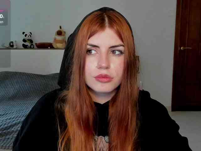 AmiGray webcam